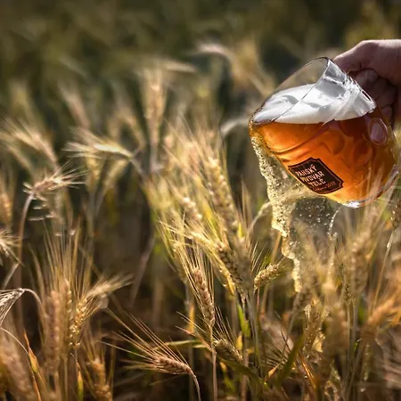 خيمة فخمة Posedy Pansky Dvur *