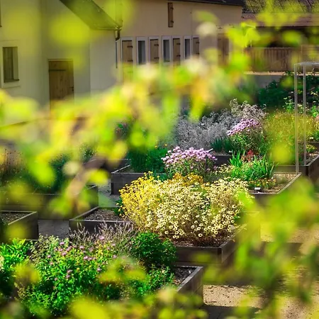 Posedy Pansky Dvur خيمة فخمة